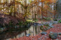 /album/vizek/img-1472-edit-masolas-jpg/